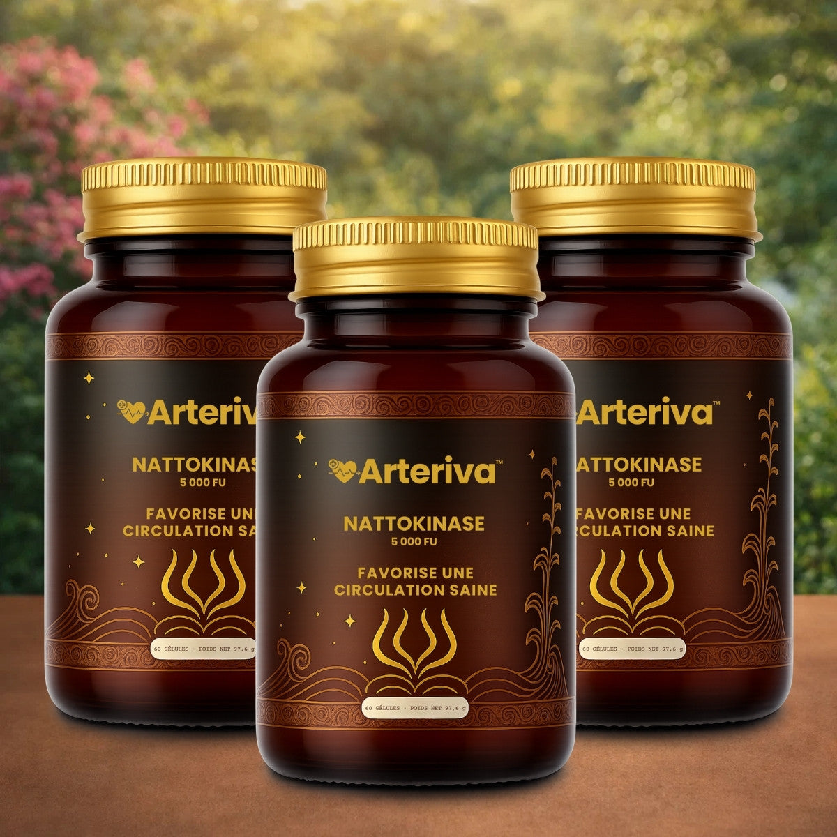 Arteriva FR