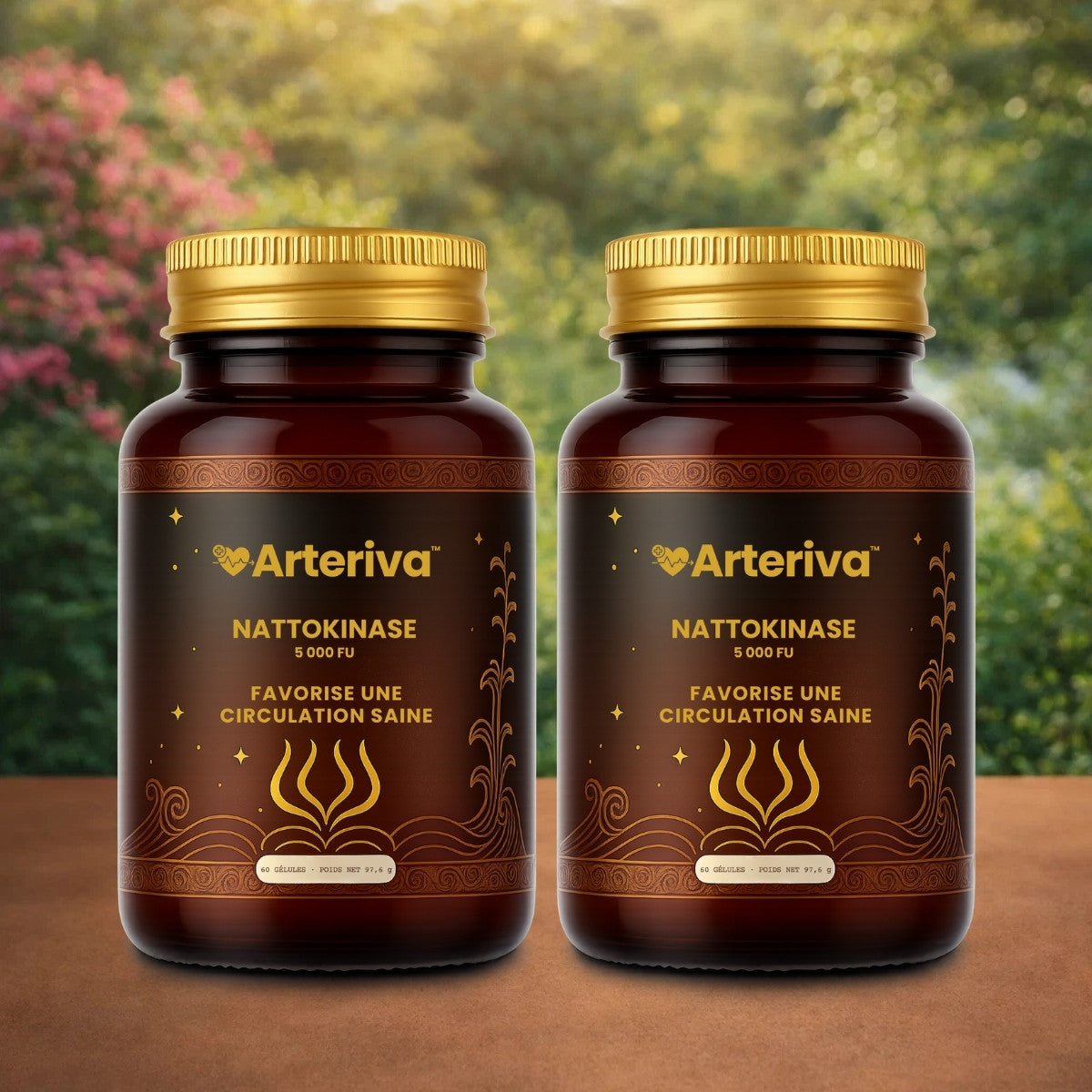 Arteriva FR